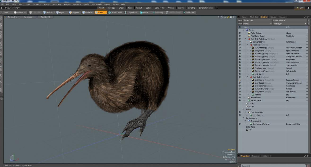 Kiwi Bird Walk Pose 3D model