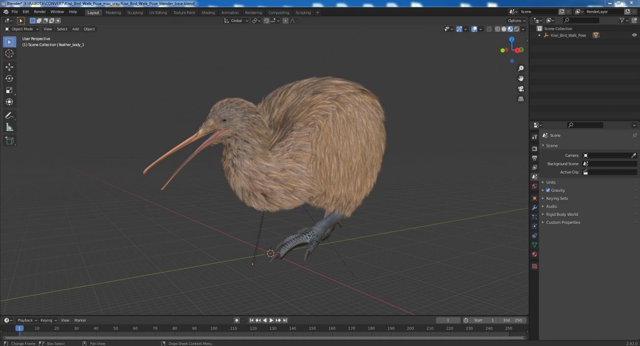 Kiwi Bird Walk Pose 3D model