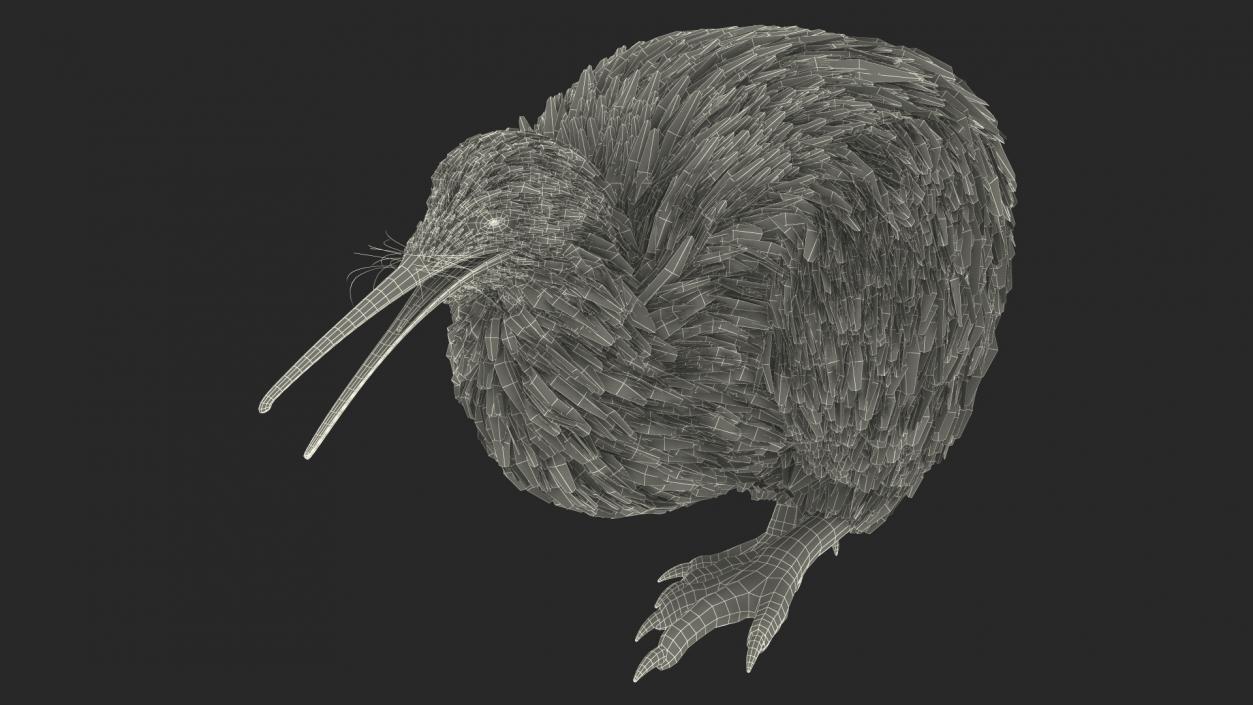 Kiwi Bird Walk Pose 3D model