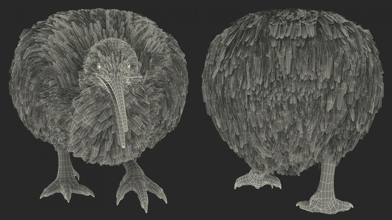 Kiwi Bird Walk Pose 3D model