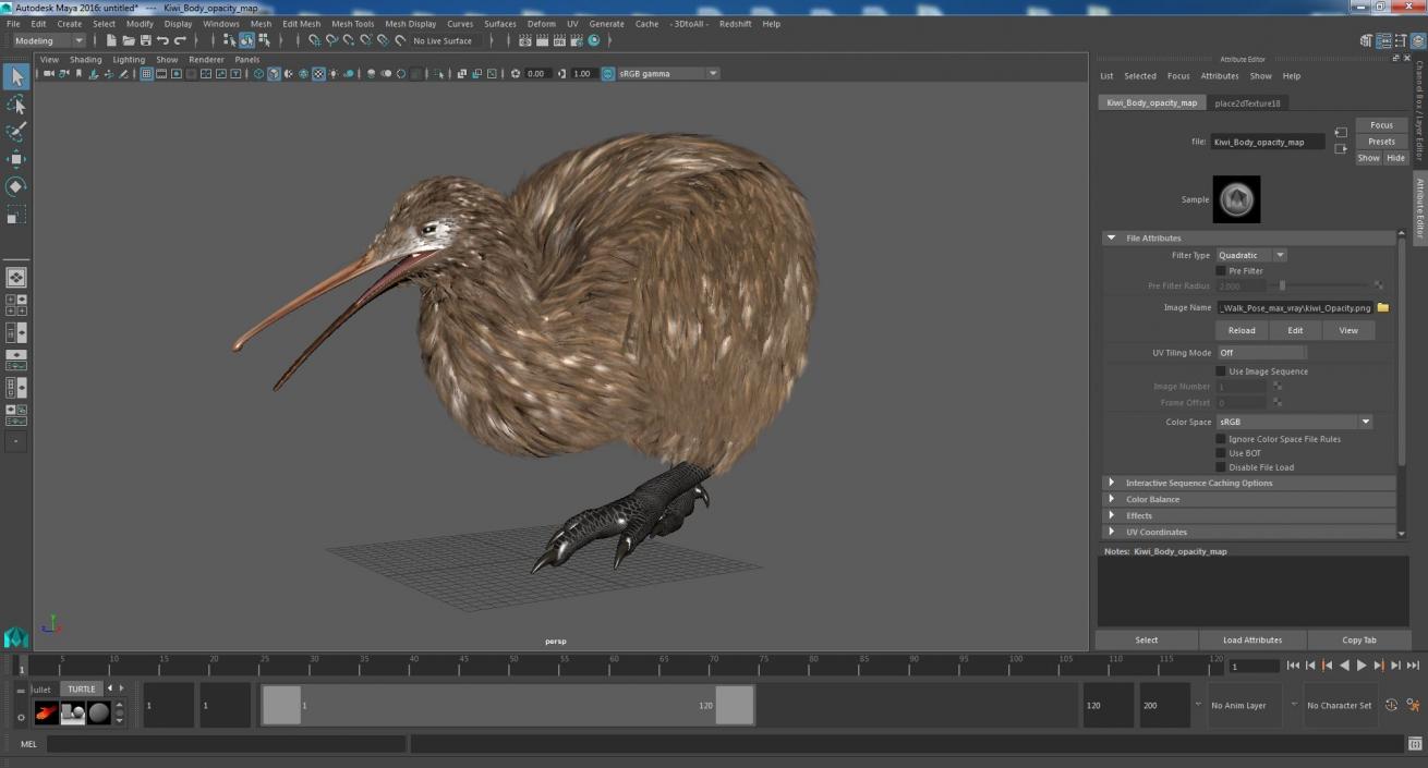 Kiwi Bird Walk Pose 3D model