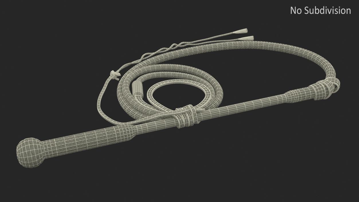 3D model Leather Bullwhip Coiled Black Rigged for Cinema 4D