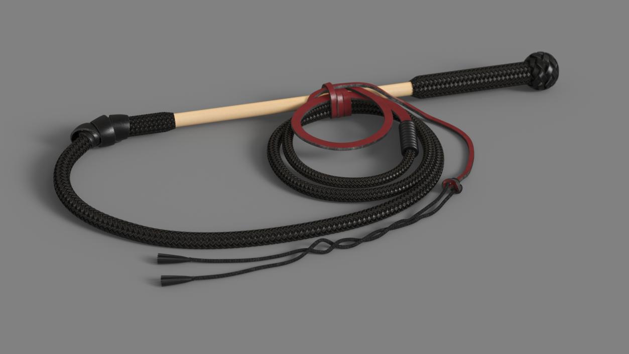 3D model Leather Bullwhip Coiled Black Rigged for Cinema 4D