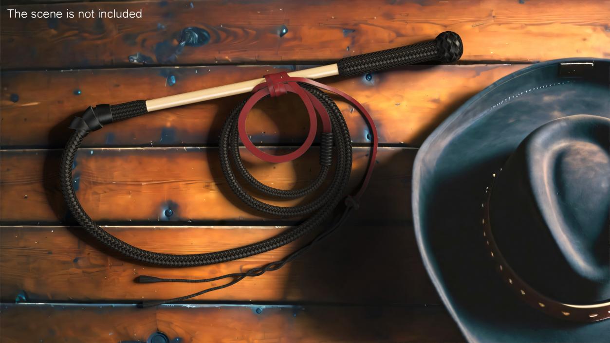 3D model Leather Bullwhip Coiled Black Rigged for Cinema 4D