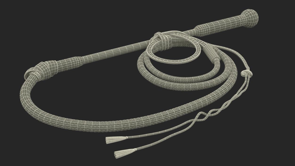 3D model Leather Bullwhip Coiled Black Rigged for Cinema 4D