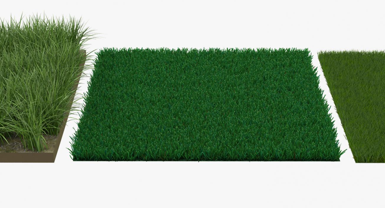 3D Grass Fields Collection model