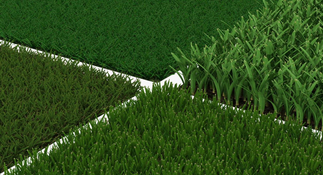 3D Grass Fields Collection model