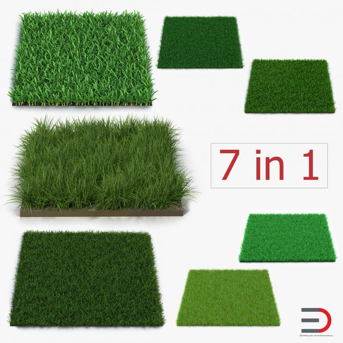 3D Grass Fields Collection model