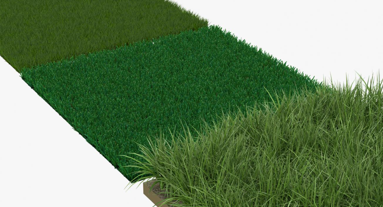 3D Grass Fields Collection model