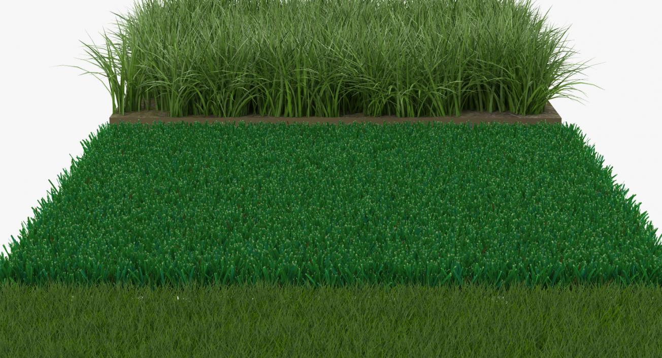 3D Grass Fields Collection model