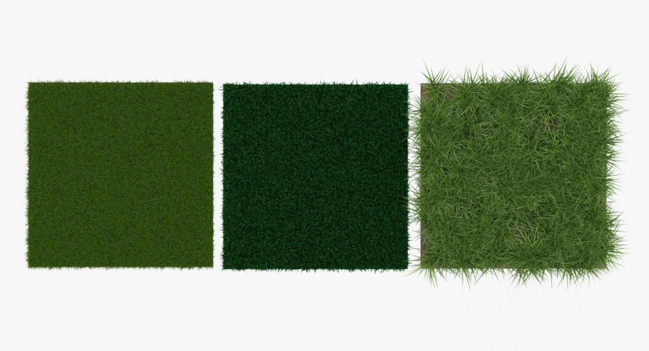 3D Grass Fields Collection model