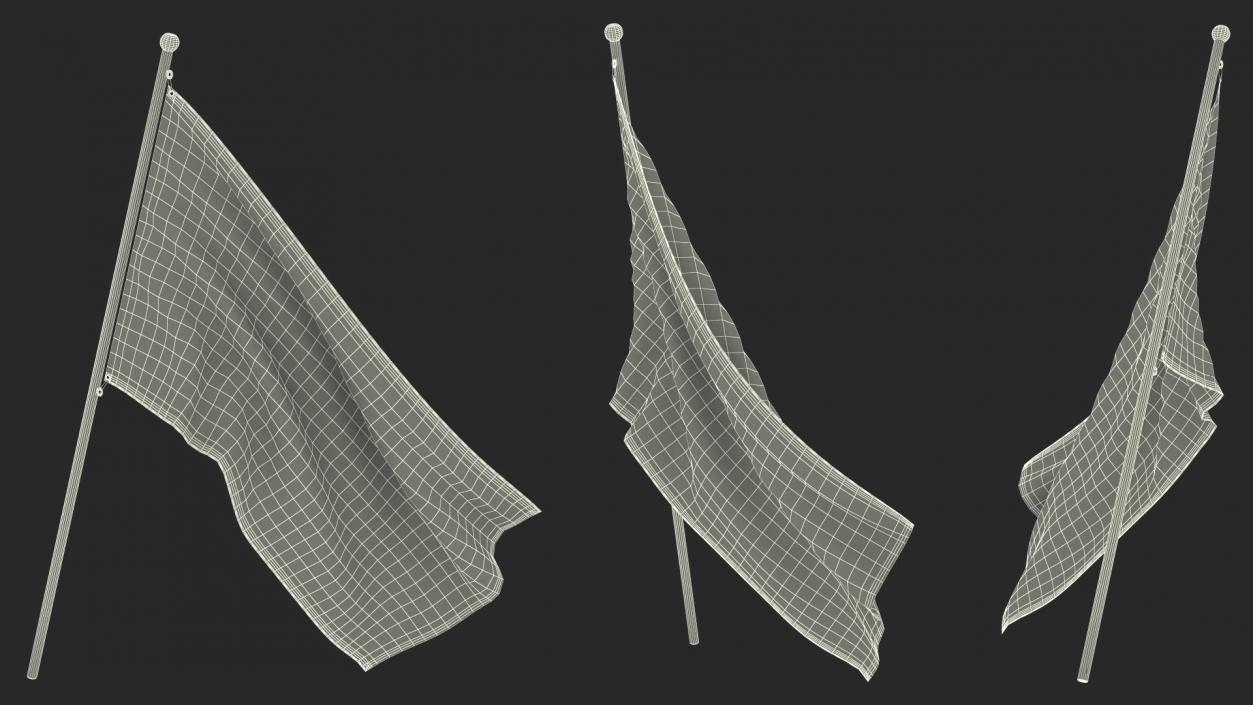 3D Waving Racing Flag model