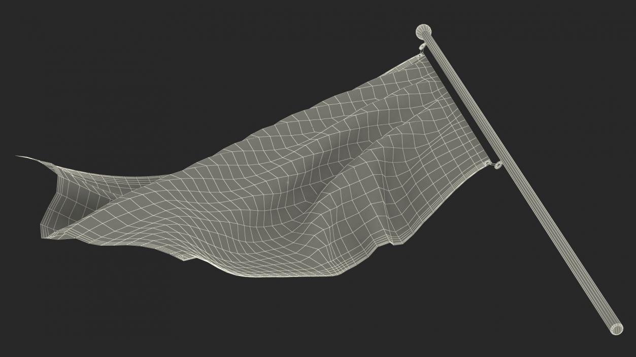 3D Waving Racing Flag model