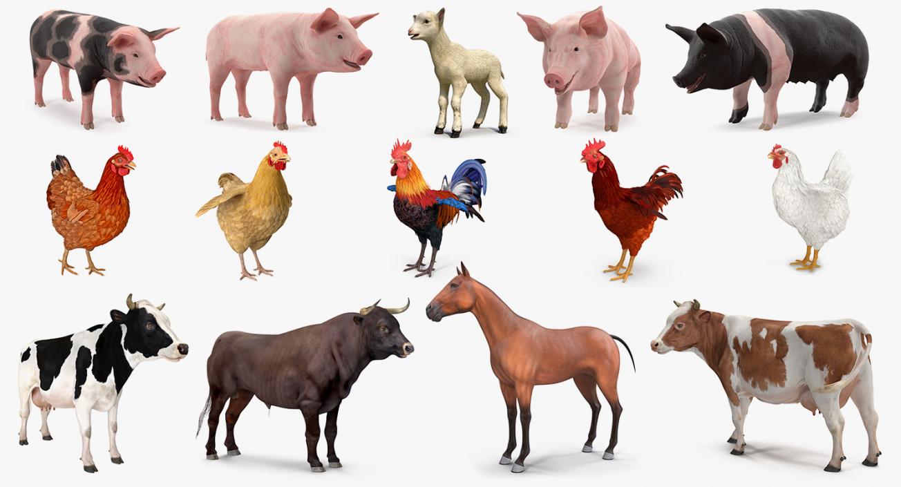 Farm Animals Big Collection 2 3D model