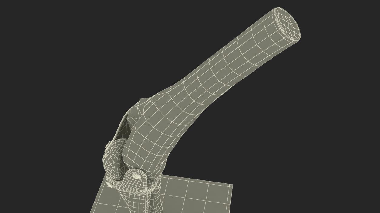 Elbow Joint Rigged for Cinema 4D 3D