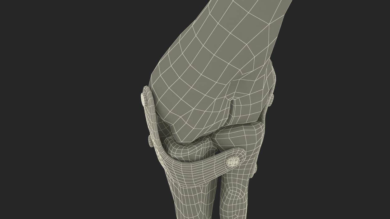 Elbow Joint Rigged for Cinema 4D 3D