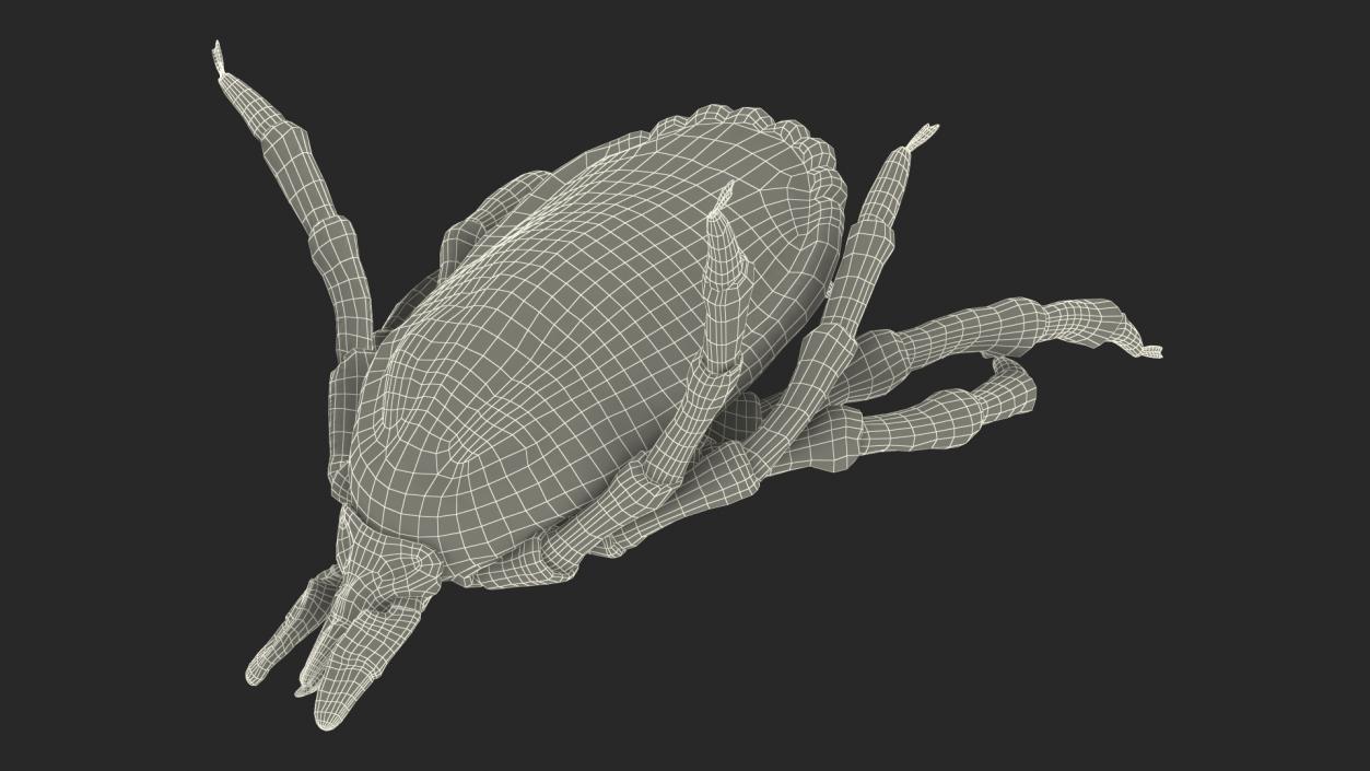 3D Tick Bite Pose Fur model