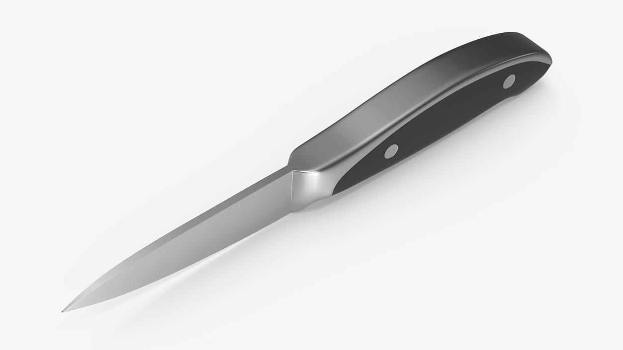 3D model Classic Paring Knife