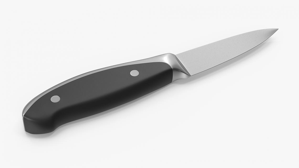 3D model Classic Paring Knife