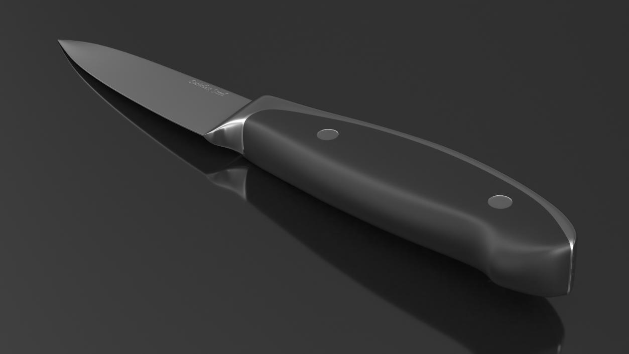 3D model Classic Paring Knife