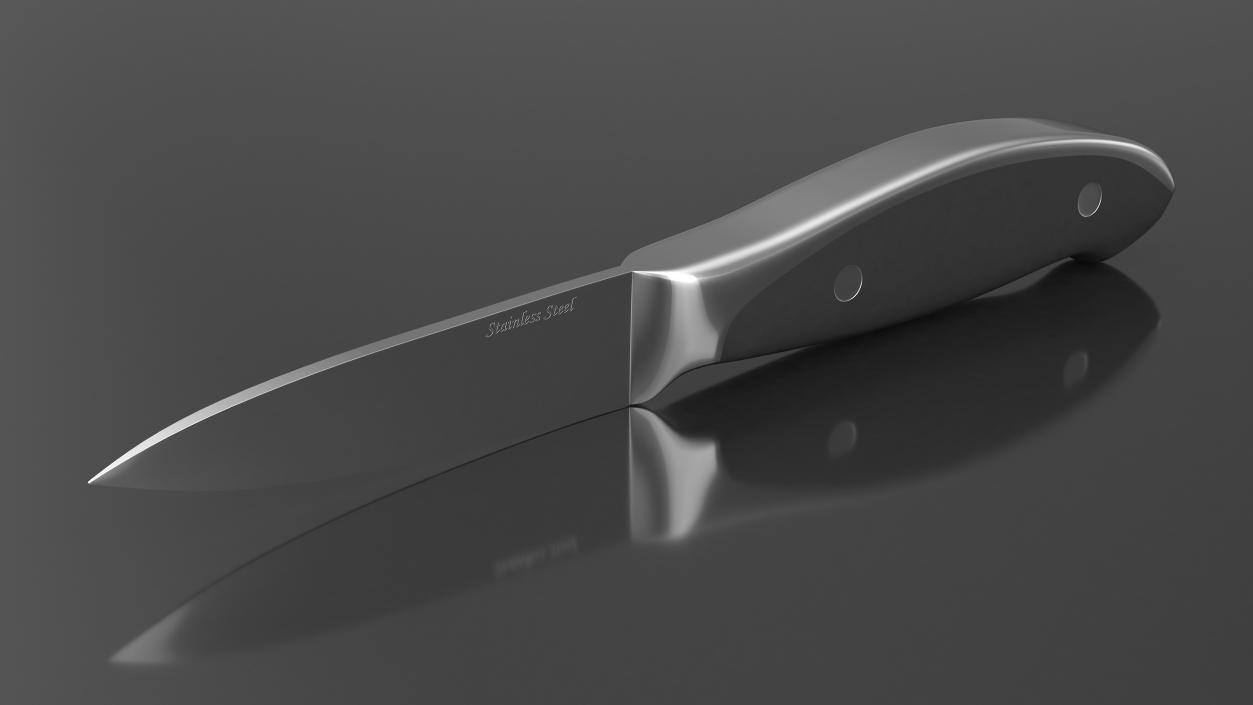 3D model Classic Paring Knife