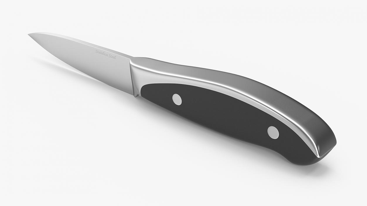 3D model Classic Paring Knife