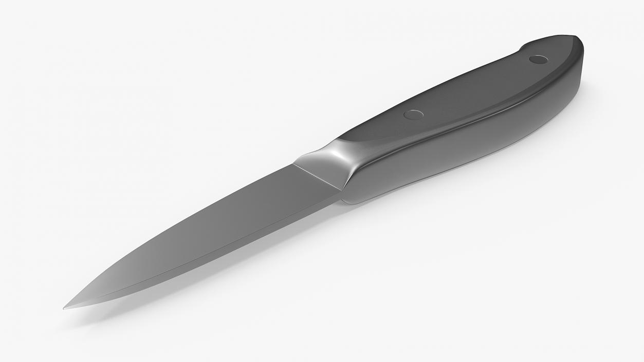 3D model Classic Paring Knife