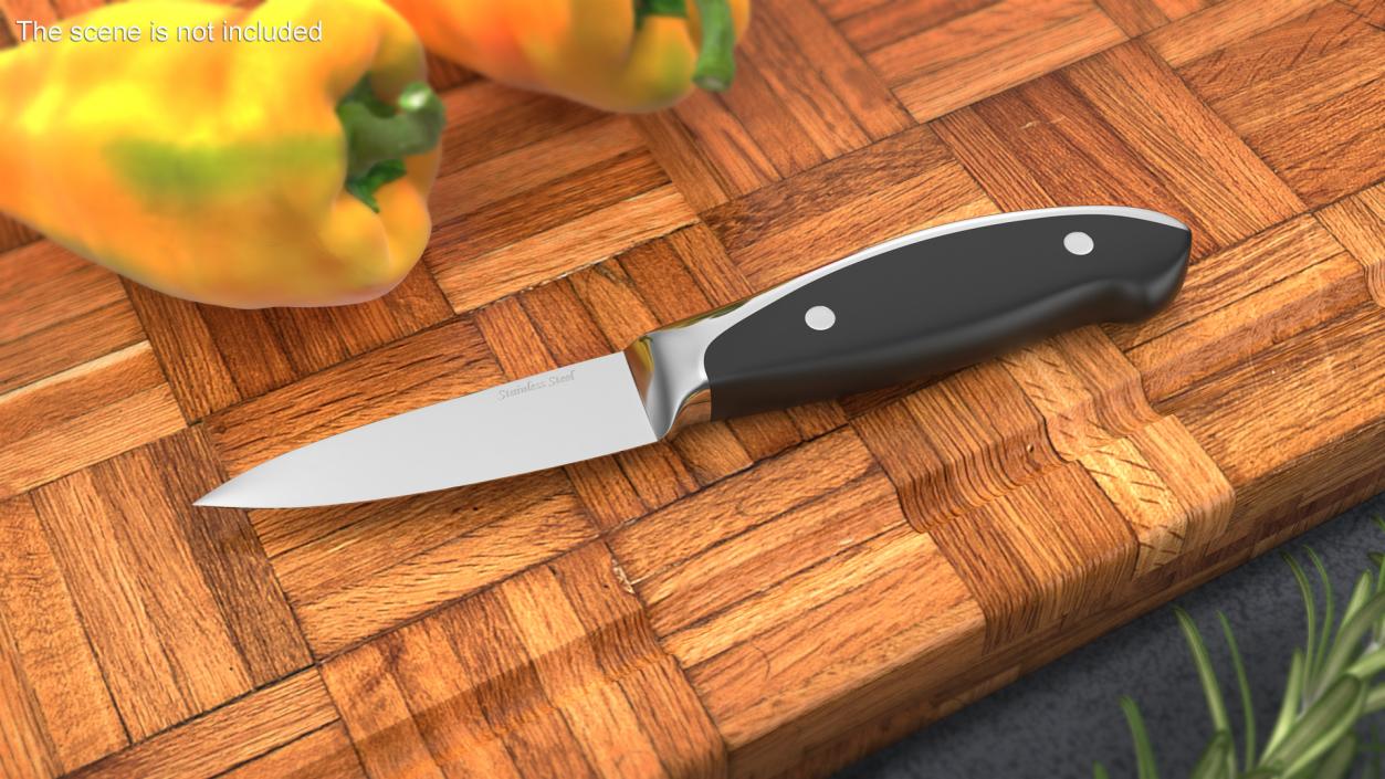 3D model Classic Paring Knife