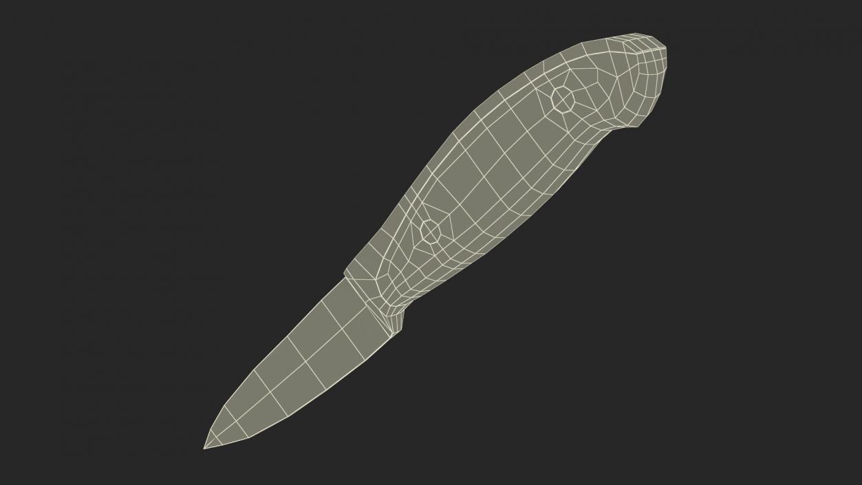 3D model Classic Paring Knife