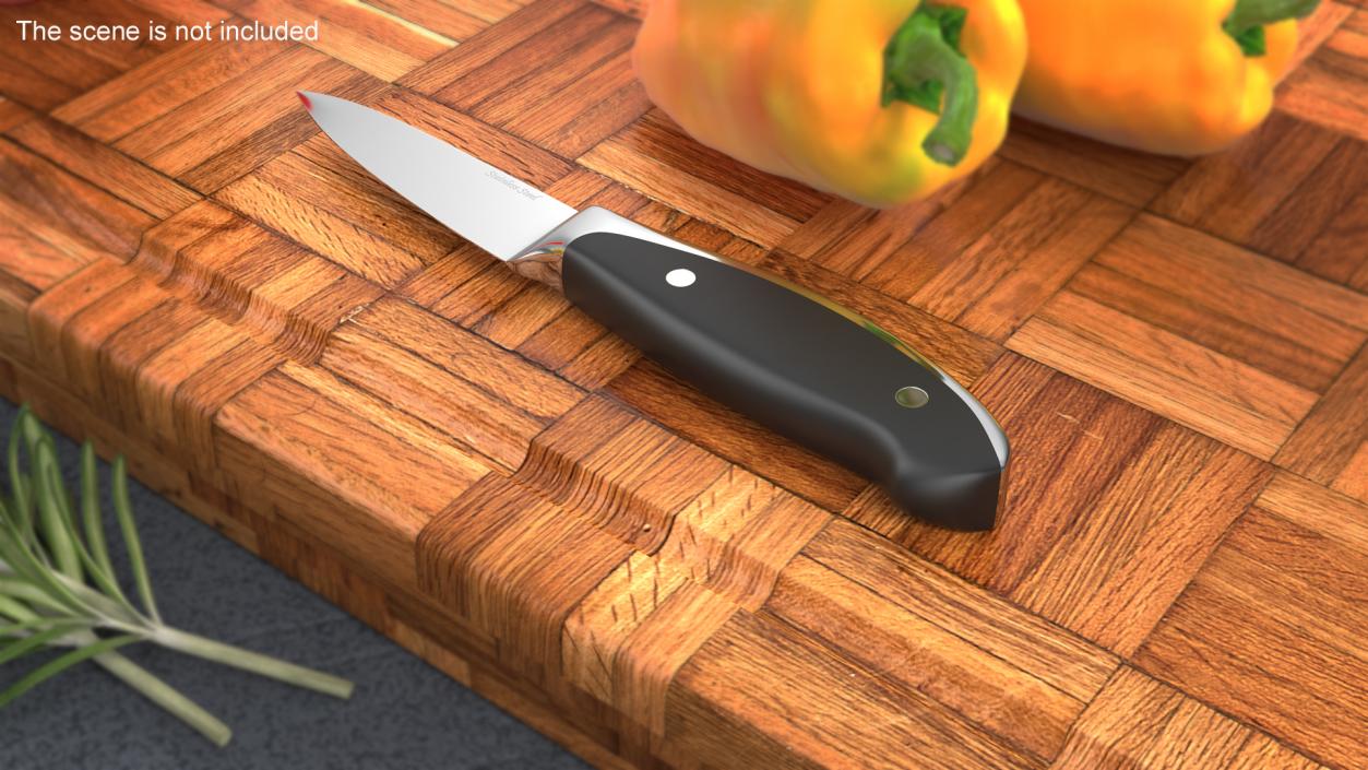 3D model Classic Paring Knife