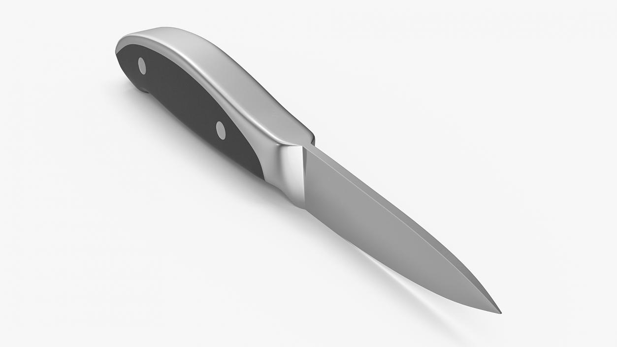 3D model Classic Paring Knife