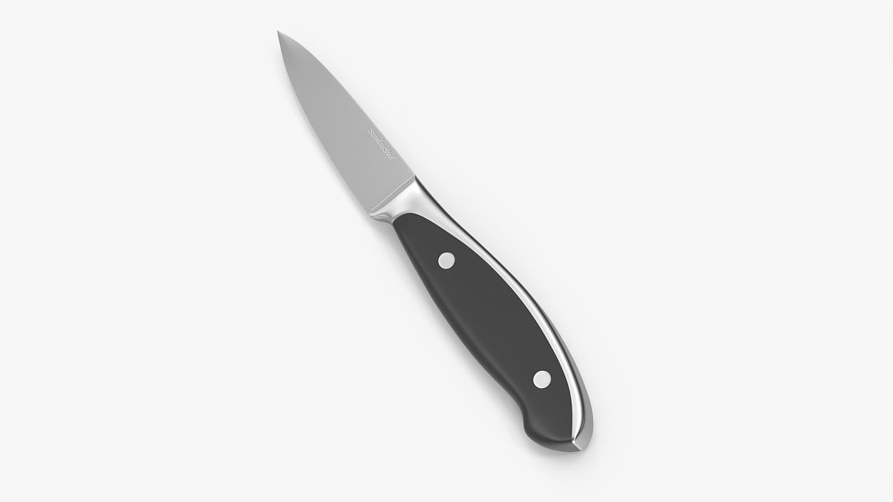 3D model Classic Paring Knife