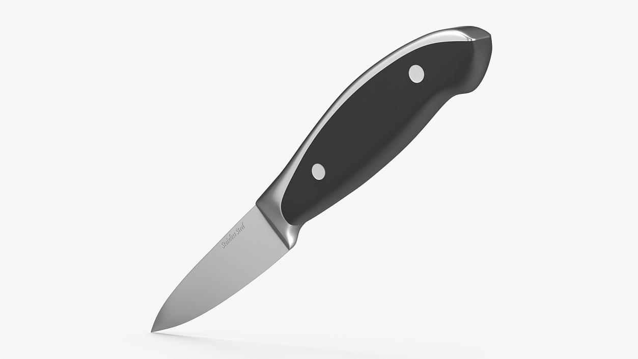 3D model Classic Paring Knife