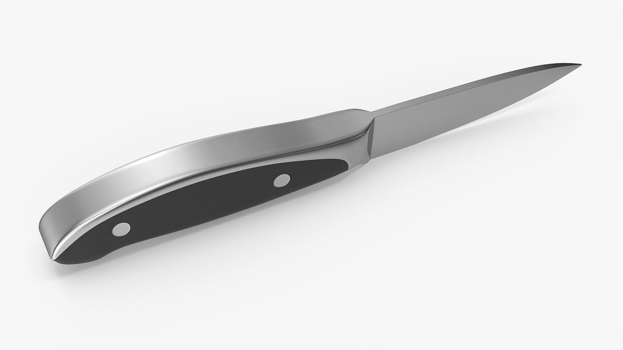 3D model Classic Paring Knife