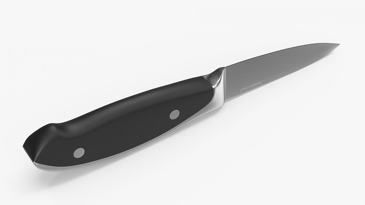 3D model Classic Paring Knife