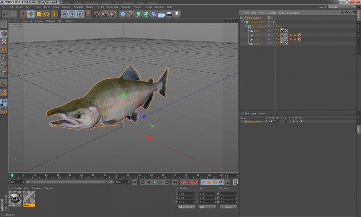 3D Pink Salmon