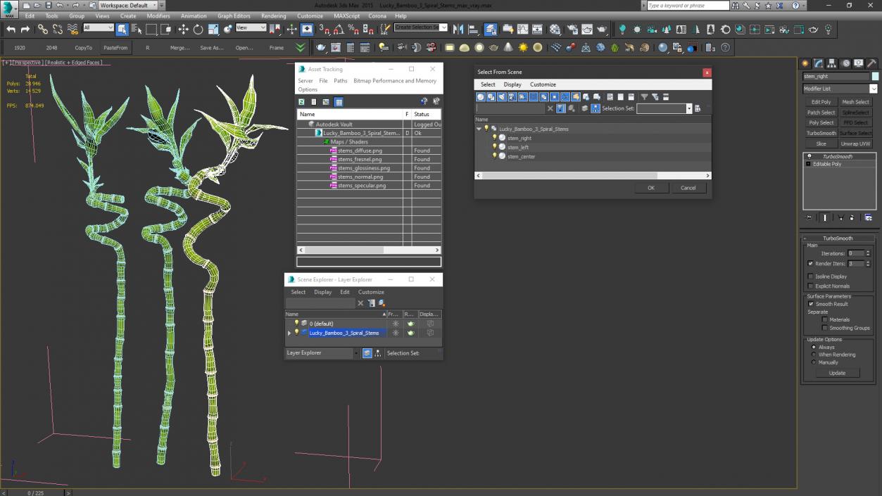 Lucky Bamboo 3 Spiral Stems 3D