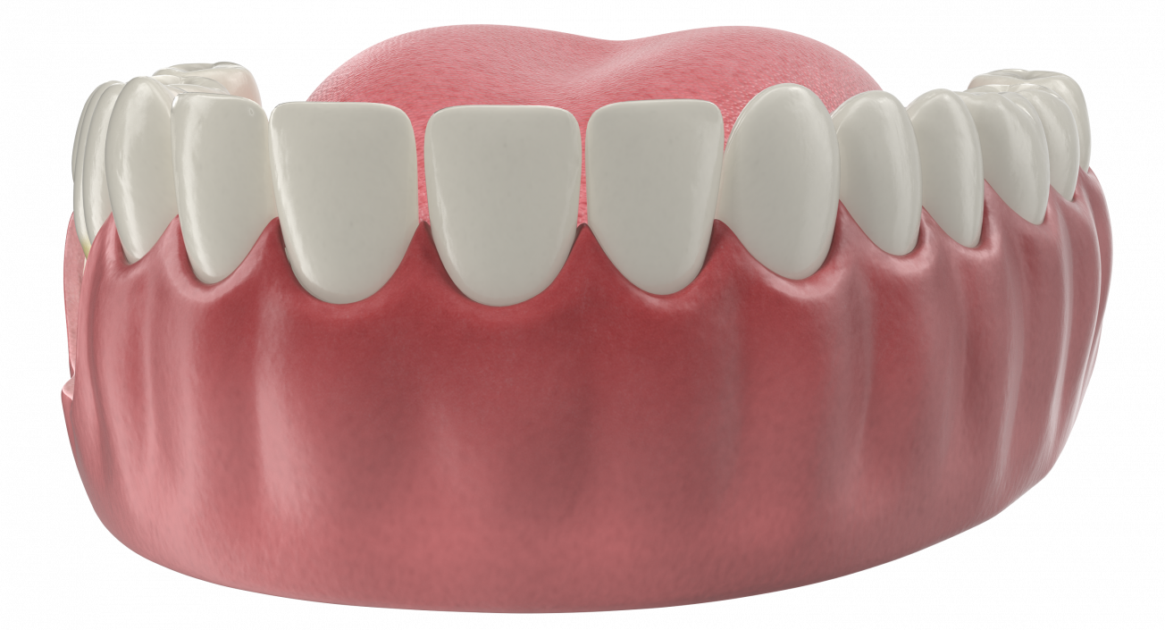 3D Teeth Tongue Medical Model With Dental Implant