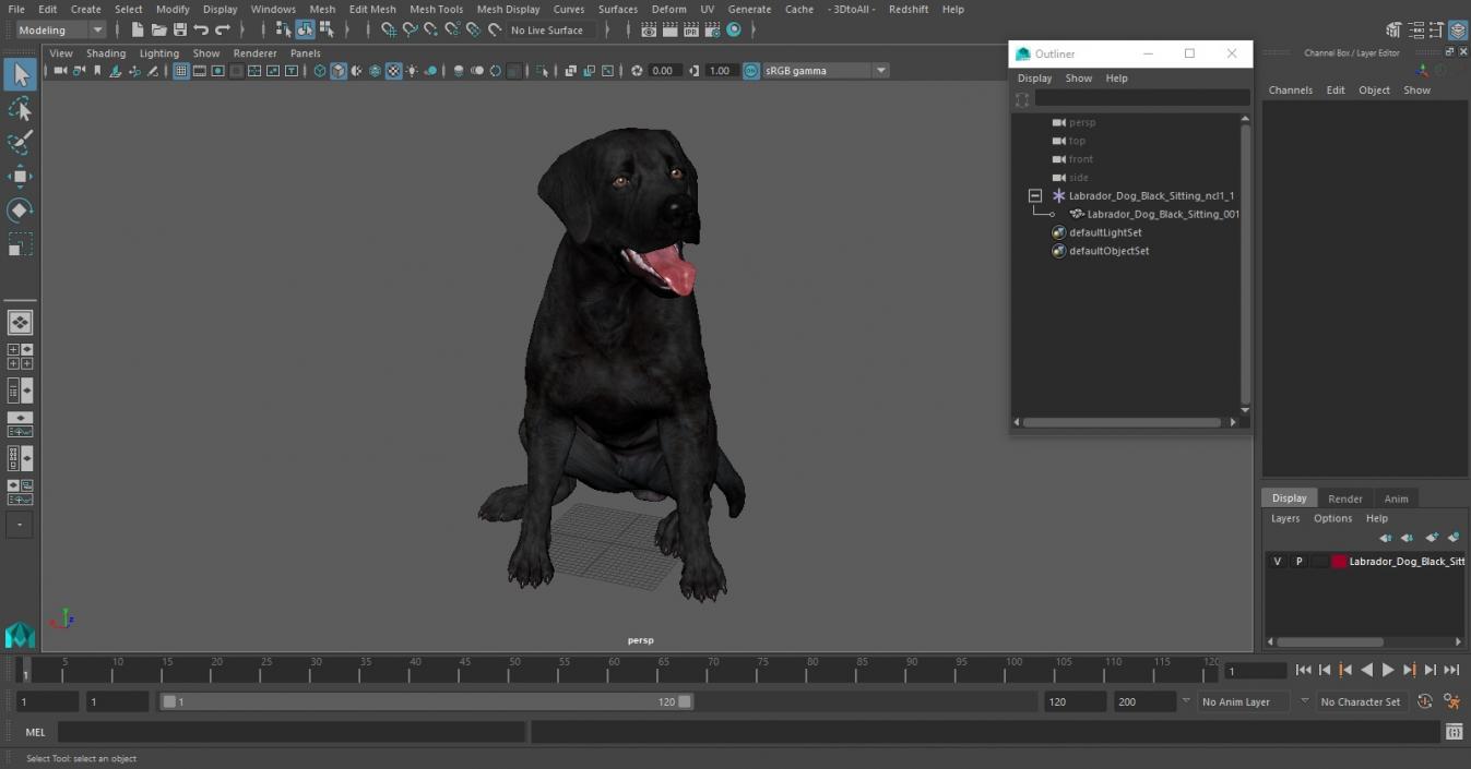 3D Labrador Dog Black Sitting