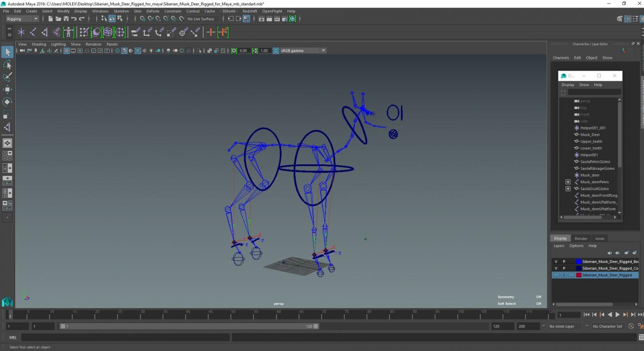 Siberian Musk Deer Rigged for Maya 3D model