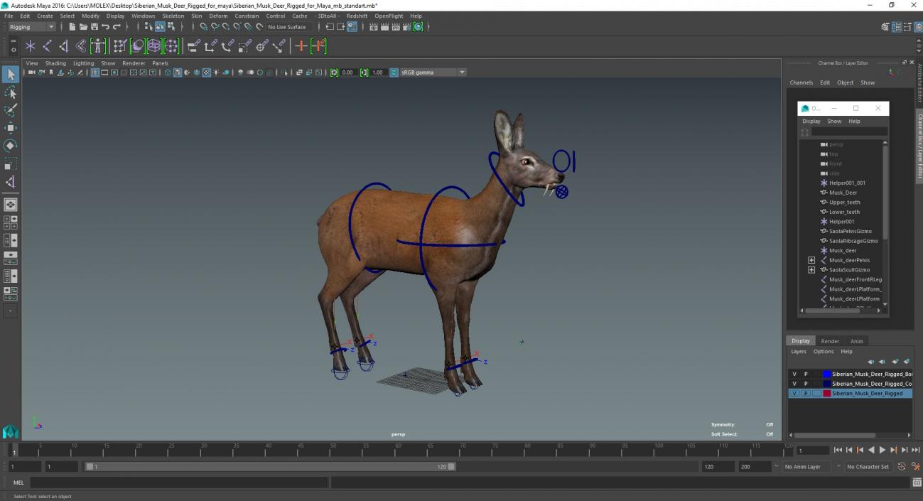 Siberian Musk Deer Rigged for Maya 3D model