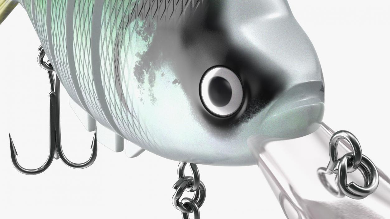 3D Fishing Lure Collection model