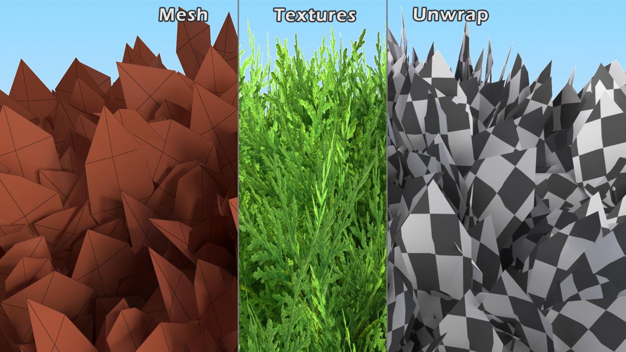 3D model Decorative Shrubs Collection 5