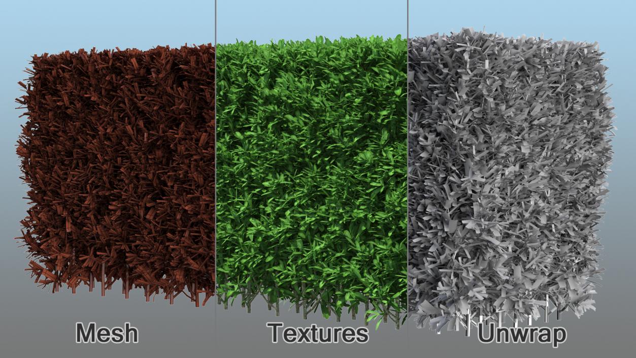 3D model Decorative Shrubs Collection 5