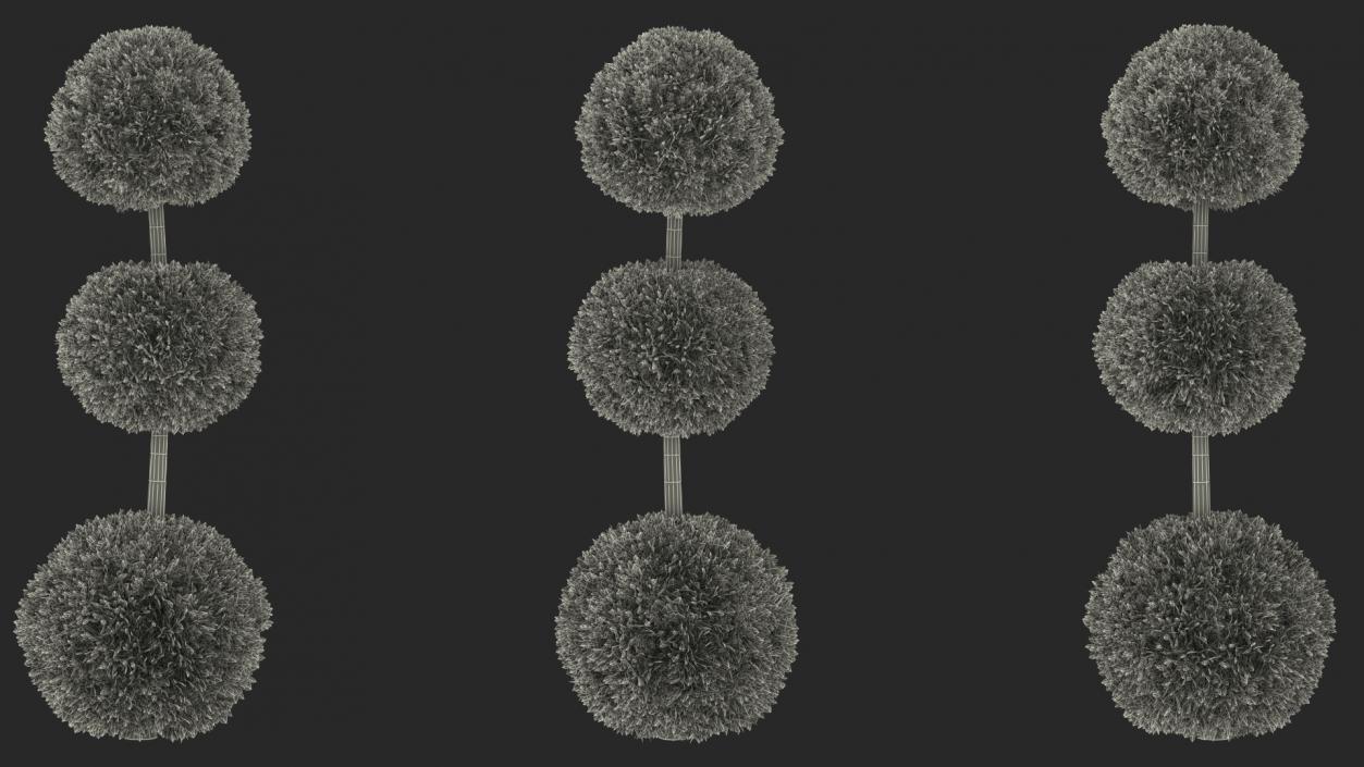 3D model Decorative Shrubs Collection 5