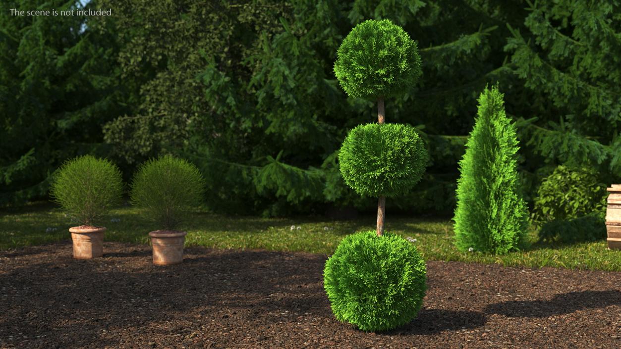 3D model Decorative Shrubs Collection 5