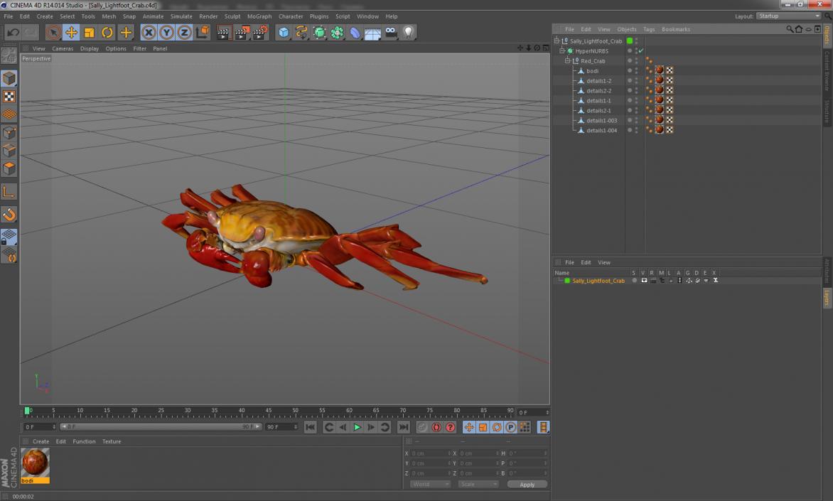 3D model Sally Lightfoot Crab