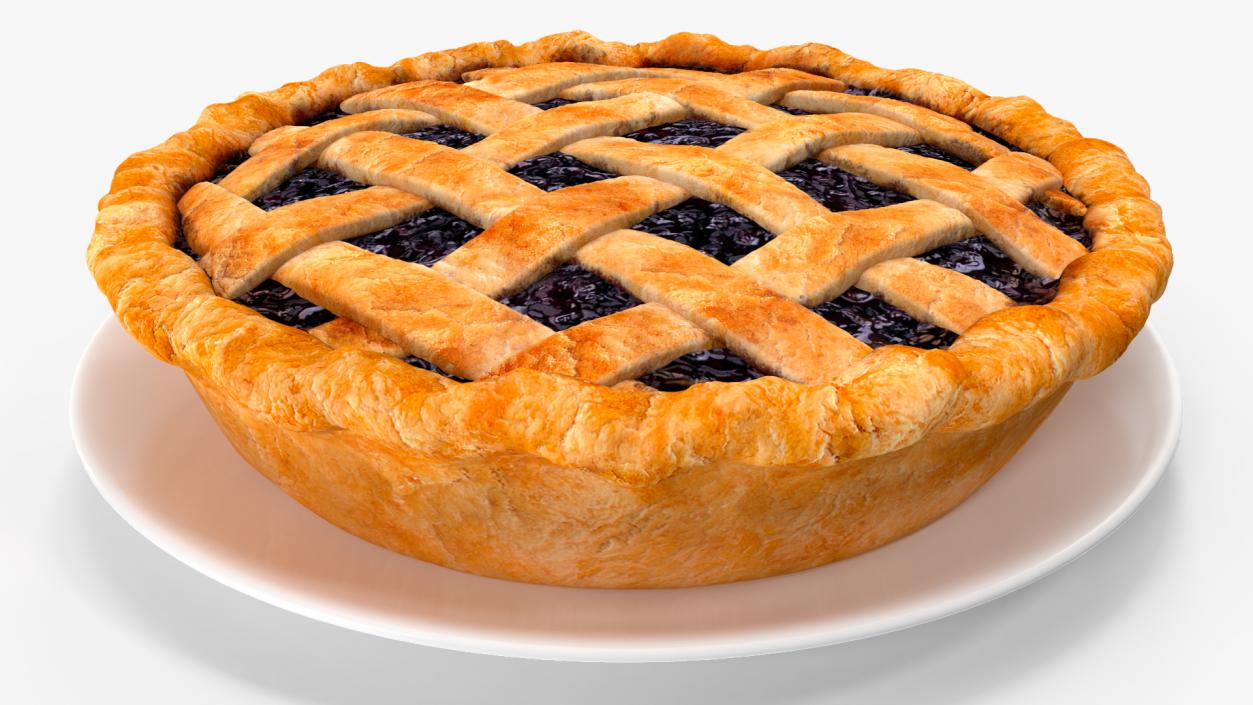 Blueberry Lattice Pie With Plate 3D