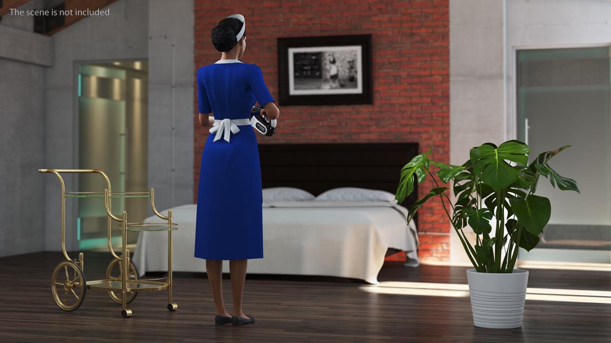 3D Housekeeping Maids Collection 2