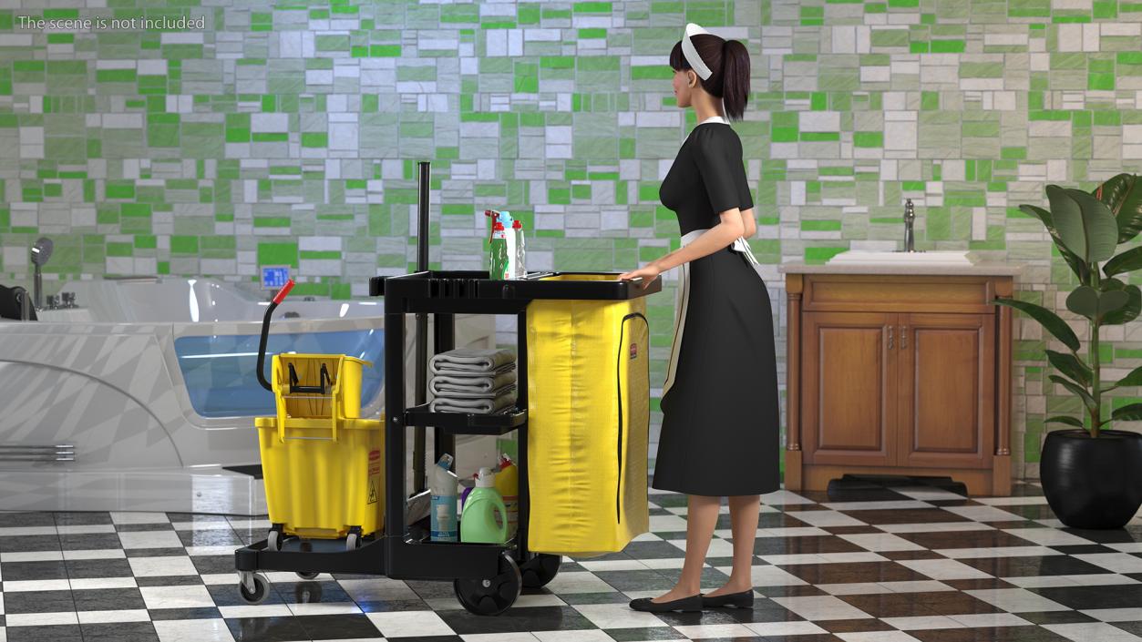 3D Housekeeping Maids Collection 2